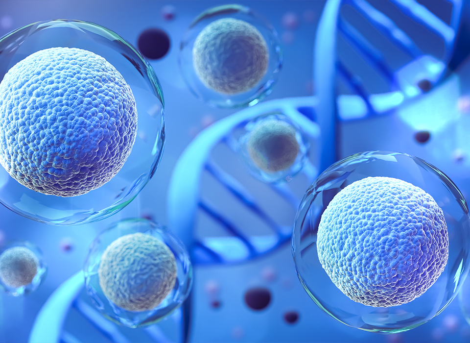 50++프리미엄+리제너레이션 리즈프로그램