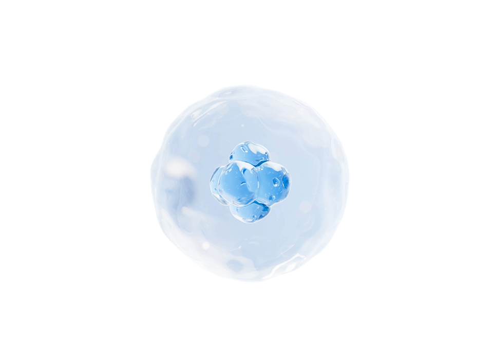 리즈 장비 더리즈 소개